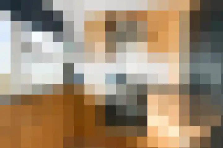 Honthorstlaan 266 Alkmaar thumbnail 10