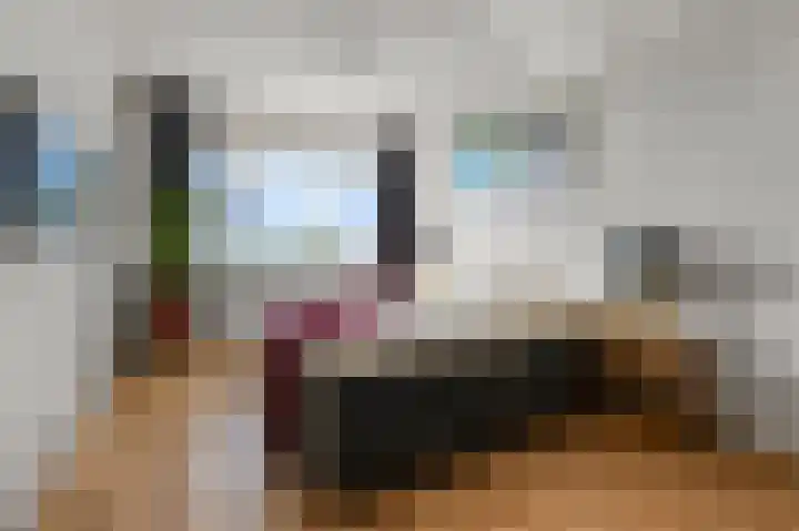 Honthorstlaan 266 Alkmaar thumbnail 11