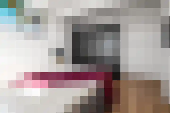 Honthorstlaan 266 Alkmaar thumbnail 12