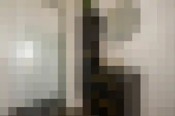 Honthorstlaan 266 Alkmaar thumbnail 17