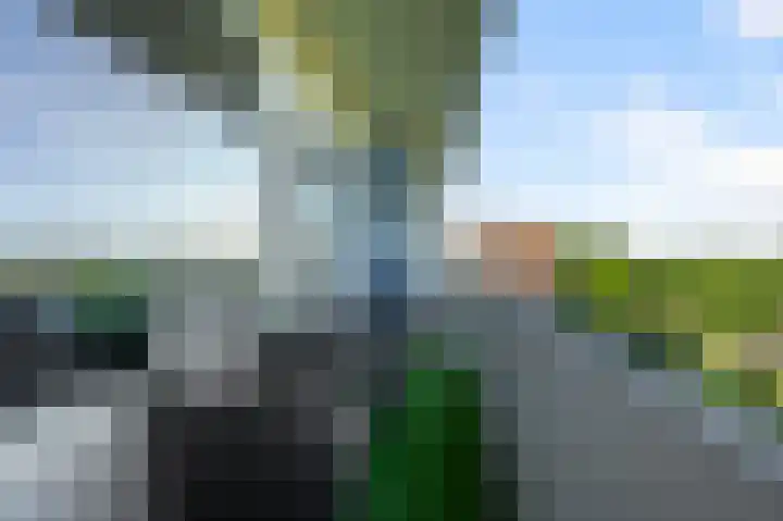 Honthorstlaan 266 Alkmaar thumbnail 8