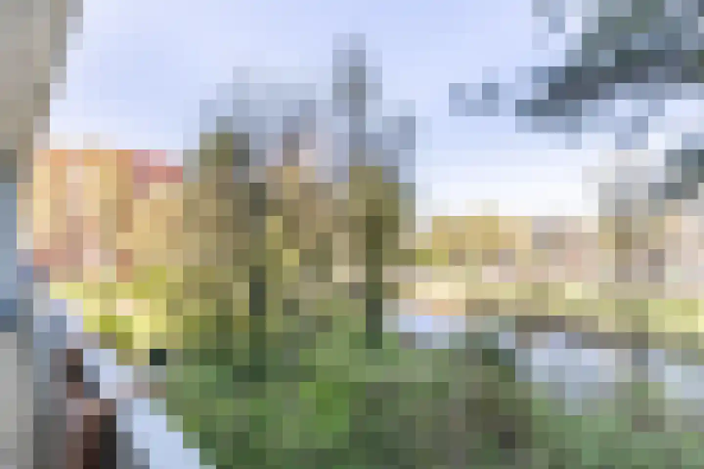 Honthorstlaan 318 Alkmaar thumbnail 28