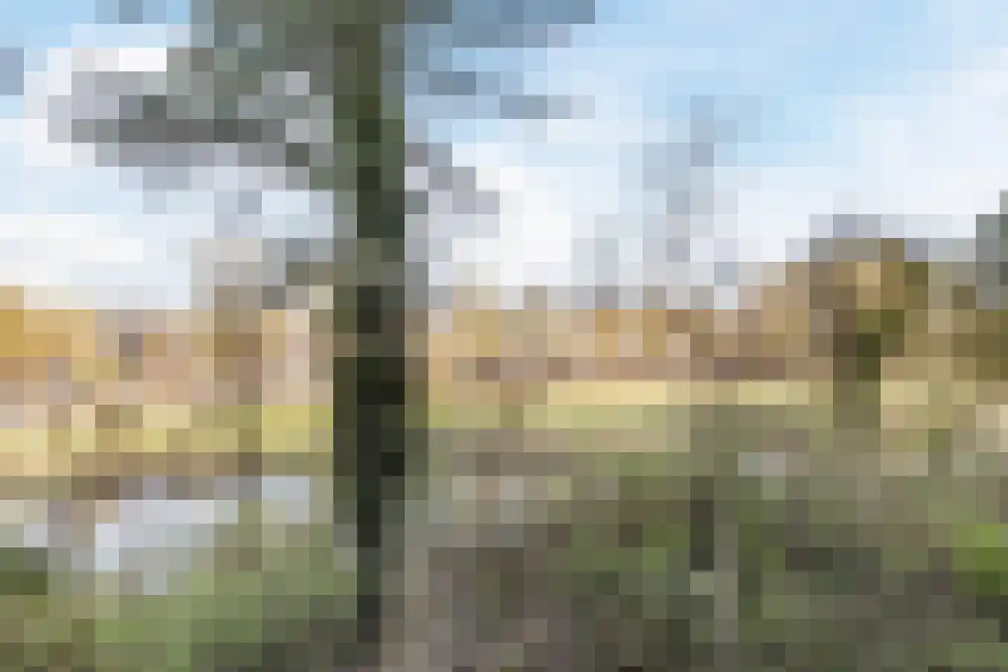 Honthorstlaan 318 Alkmaar thumbnail 29
