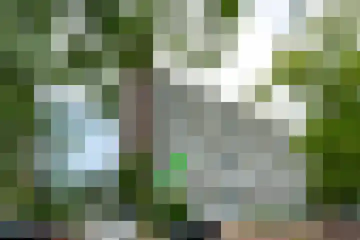 Honthorstlaan 32 in Alkmaar