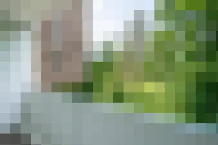Honthorstlaan 32 Alkmaar thumbnail 12