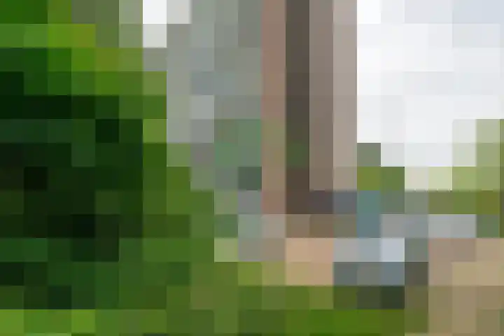 Honthorstlaan 32 Alkmaar thumbnail 16