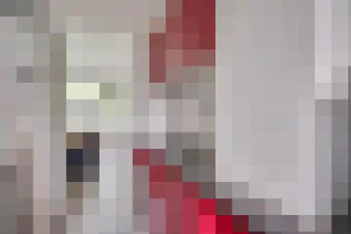 Honthorstlaan 32 Alkmaar thumbnail 5