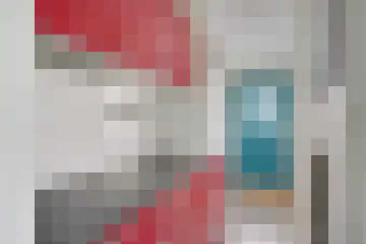 Honthorstlaan 32 Alkmaar thumbnail 6