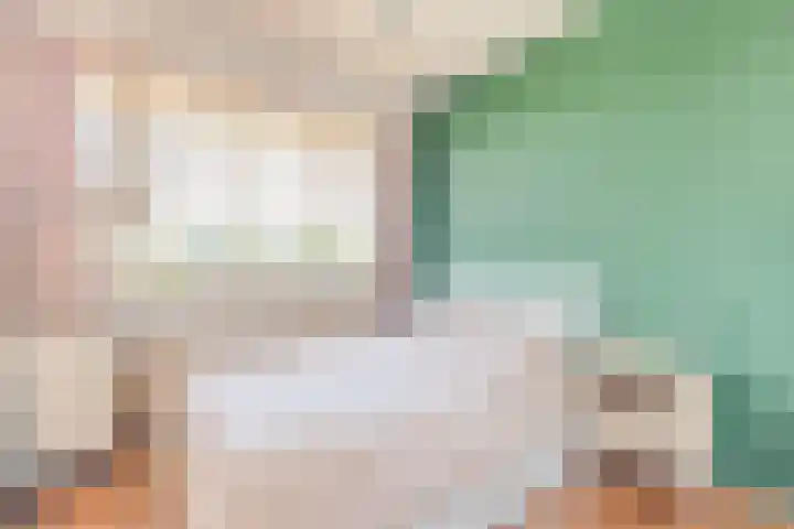 Honthorstlaan 334 Alkmaar thumbnail 20
