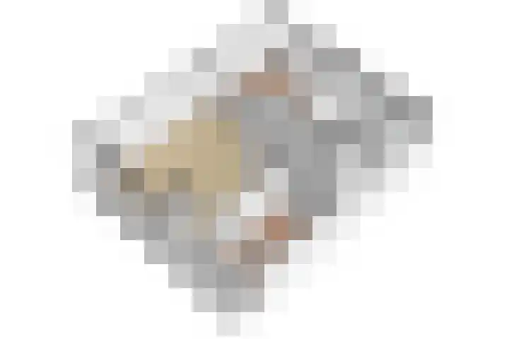 Honthorstlaan 364 Alkmaar thumbnail 41