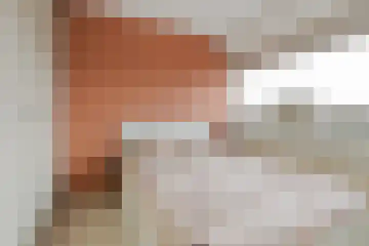 Honthorstlaan 384 Alkmaar thumbnail 11