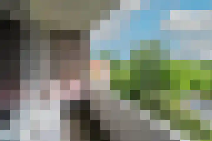 Honthorstlaan 402 Alkmaar thumbnail 11