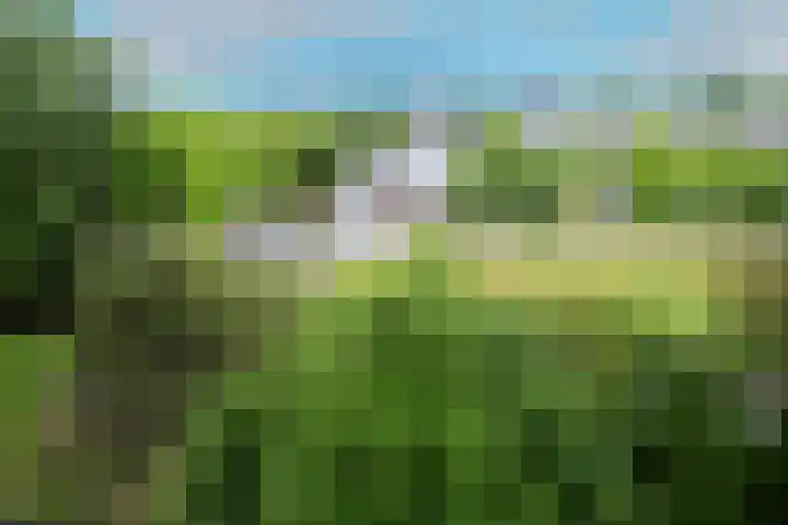 Honthorstlaan 402 Alkmaar thumbnail 12