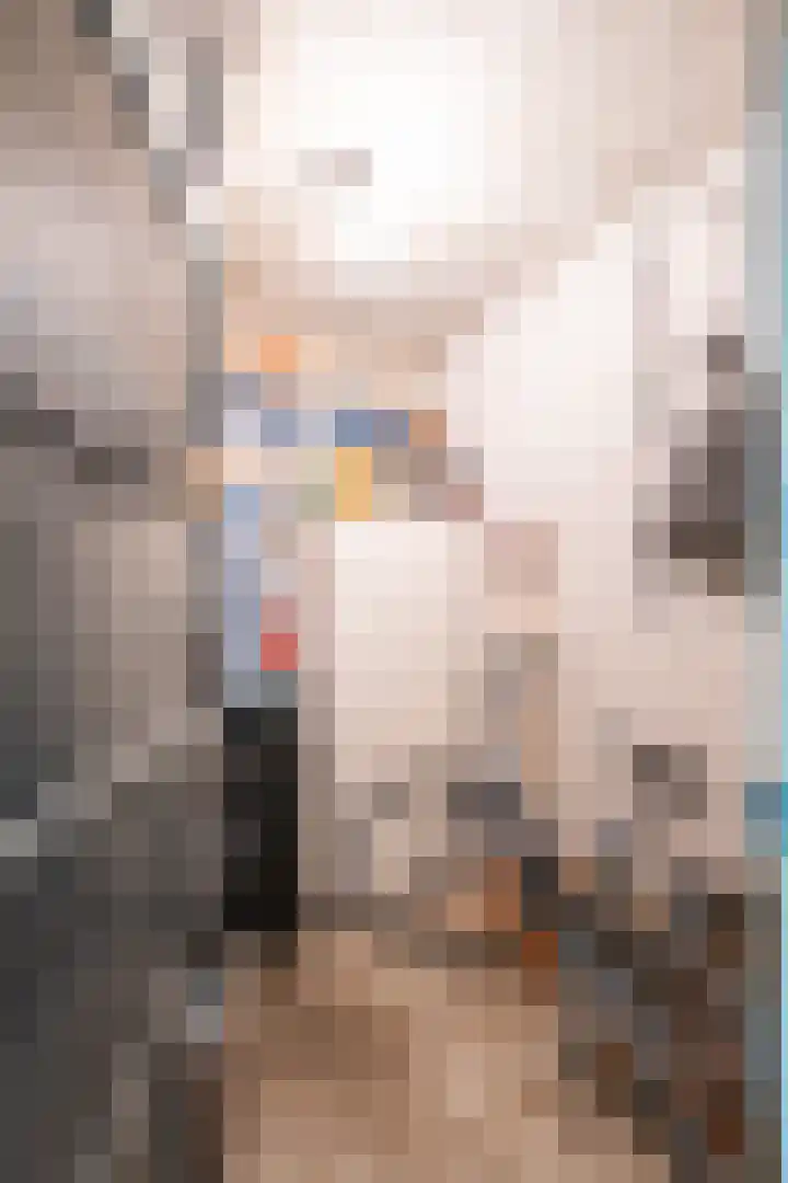 Honthorstlaan 402 Alkmaar thumbnail 16