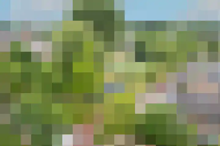 Honthorstlaan 402 Alkmaar thumbnail 22