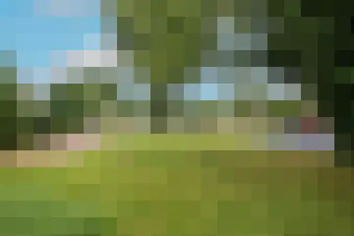 Honthorstlaan 402 Alkmaar thumbnail 24