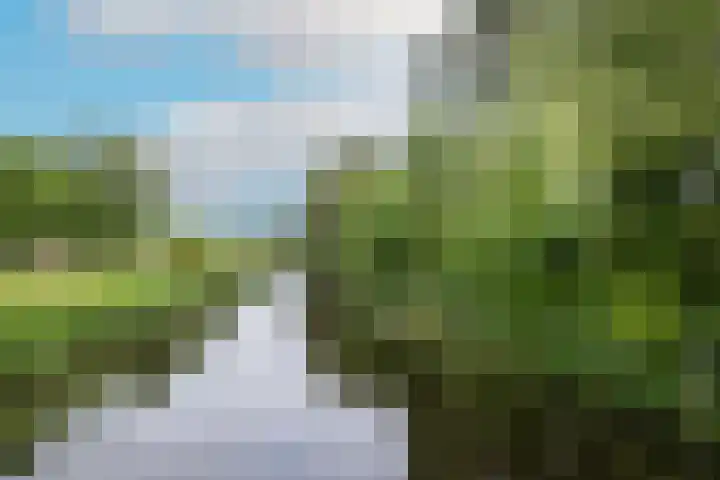 Honthorstlaan 402 Alkmaar thumbnail 25