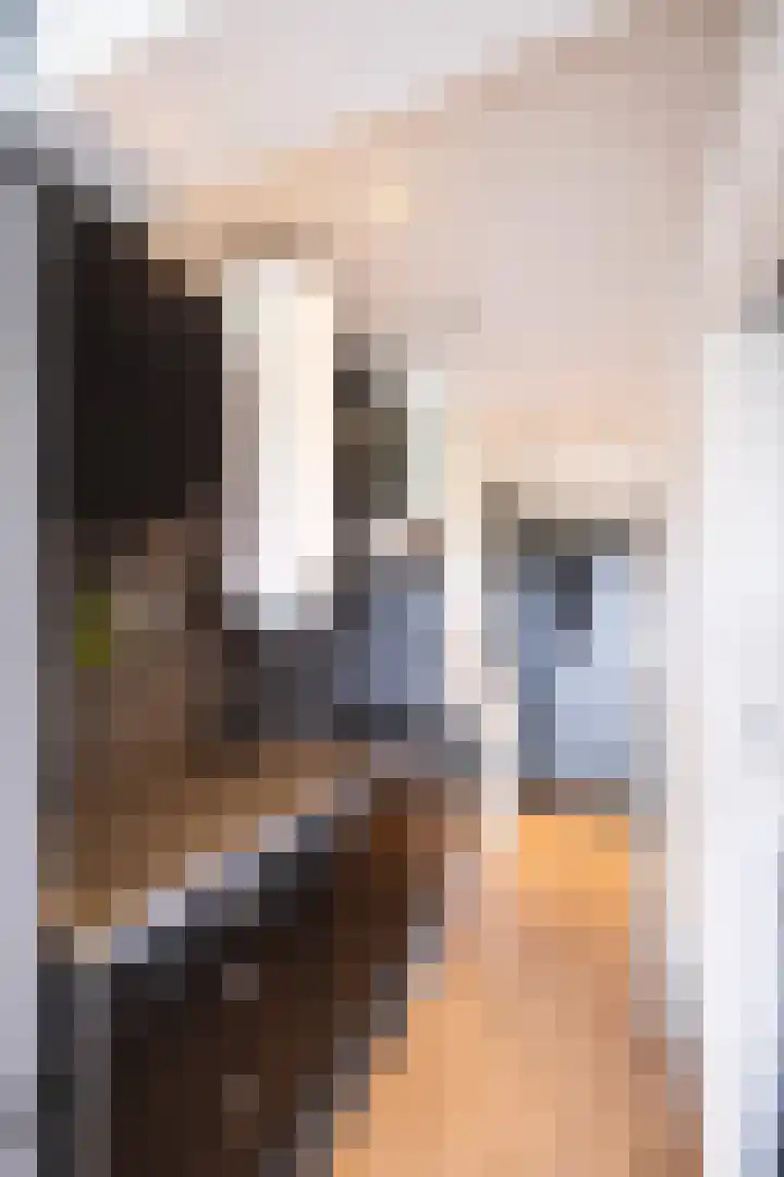 Honthorstlaan 402 Alkmaar thumbnail 7