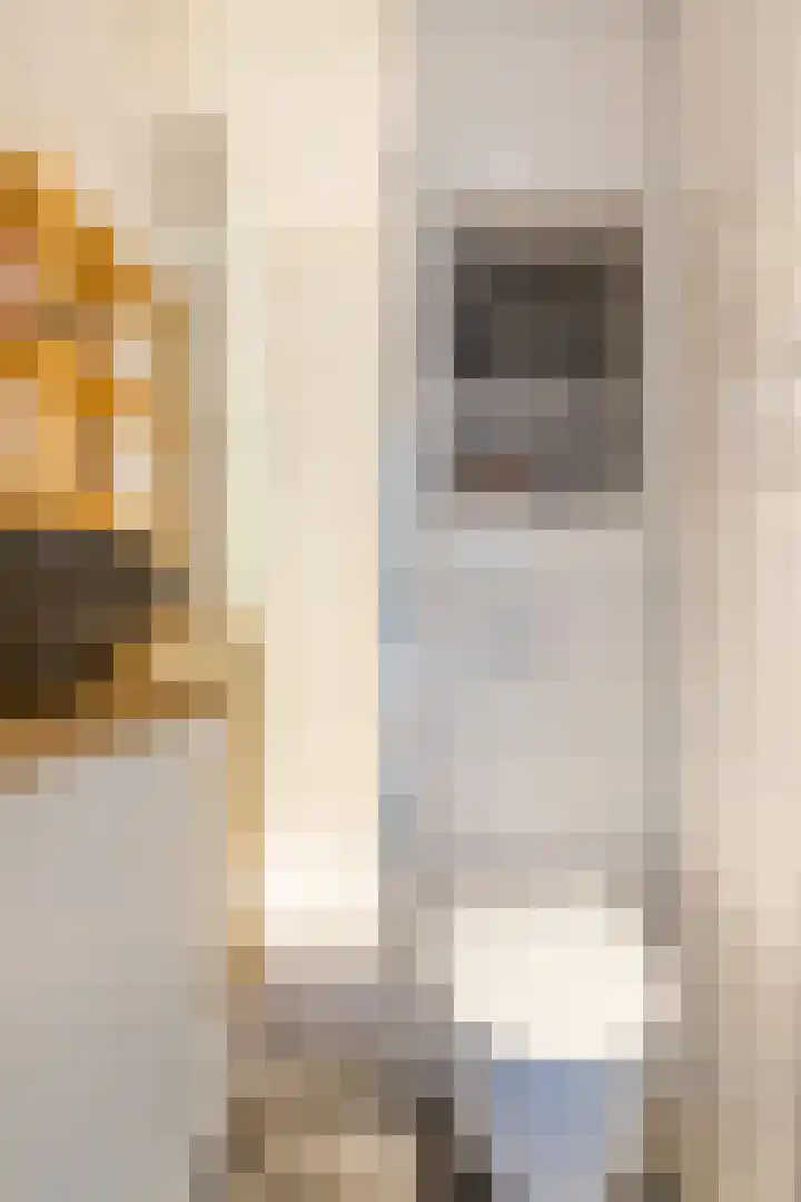 Honthorstlaan 418 Alkmaar thumbnail 12