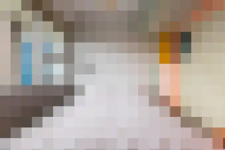 Honthorstlaan 418 Alkmaar thumbnail 14
