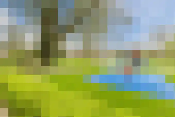Honthorstlaan 418 Alkmaar thumbnail 22