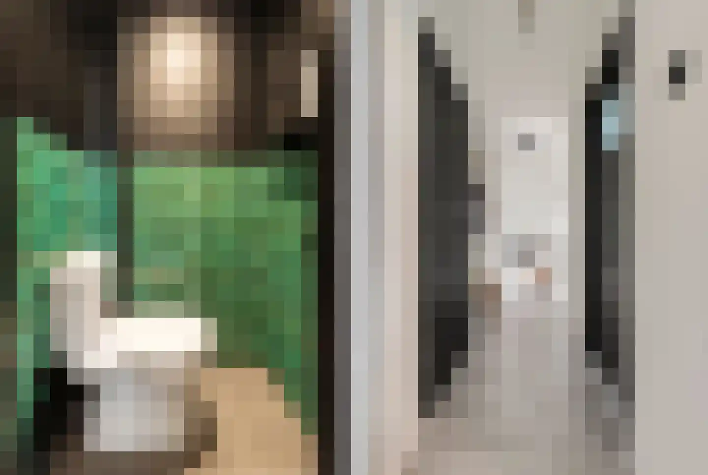 Honthorstlaan 78 Alkmaar thumbnail 11