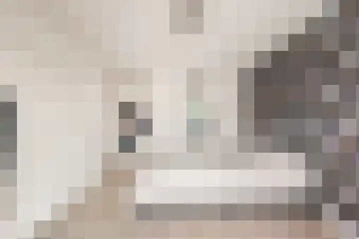 Honthorstlaan 8 Heerhugowaard thumbnail 16
