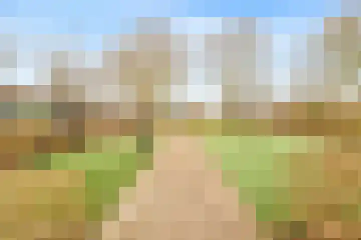 Honthorstlaan 8 Heerhugowaard thumbnail 30