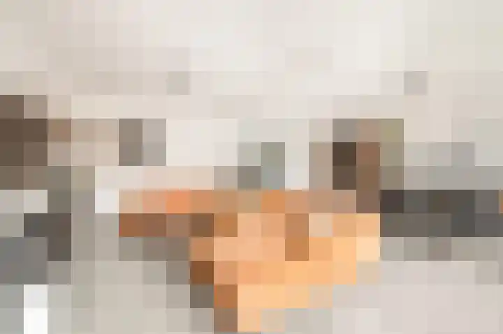 Honthorstlaan 8 Heerhugowaard thumbnail 4