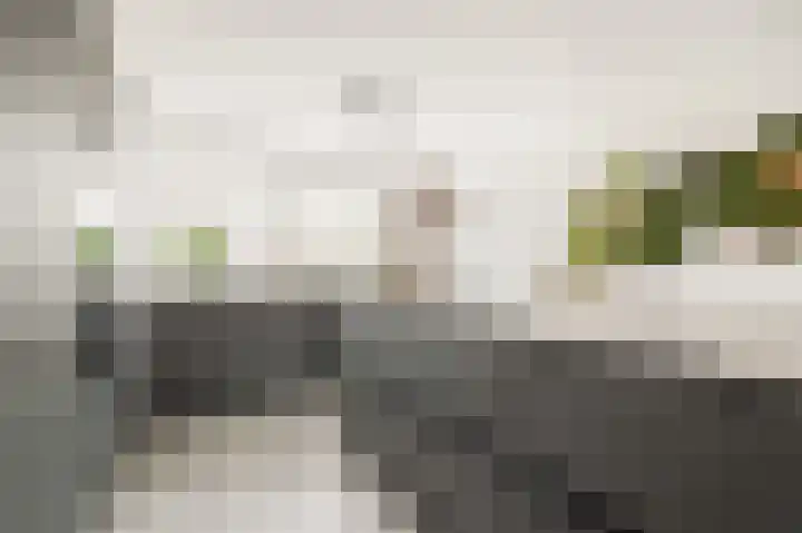Honthorstlaan 8 Heerhugowaard thumbnail 5