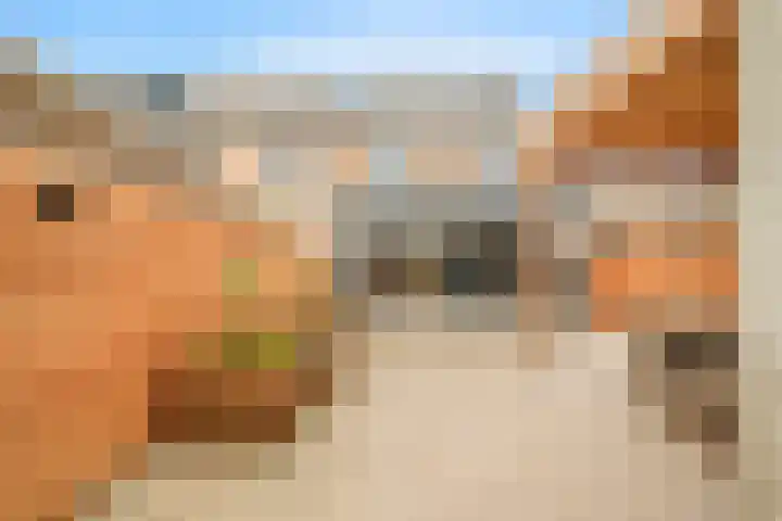 Honthorstlaan 8 Heerhugowaard thumbnail 9