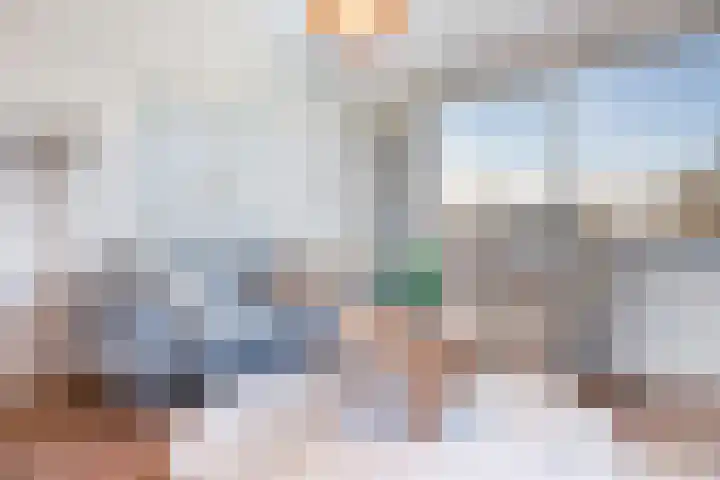 Honthorstlaan 80 Alkmaar thumbnail 10