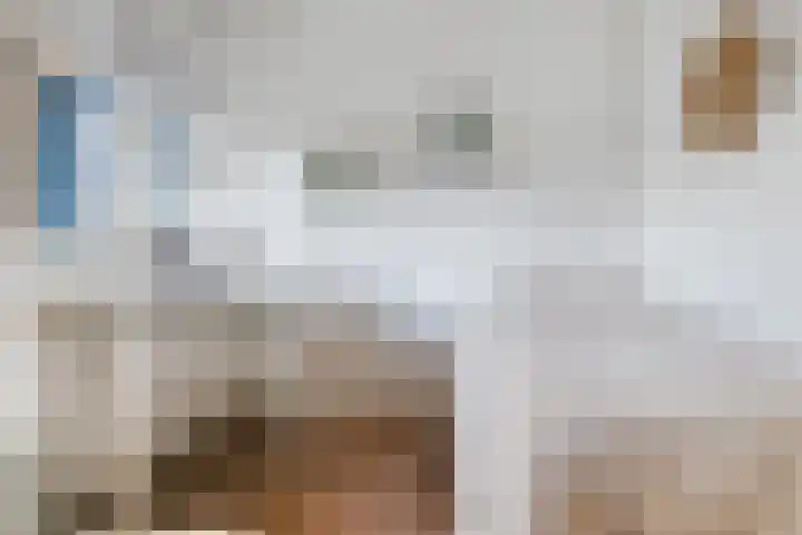 Honthorstlaan 80 Alkmaar thumbnail 15