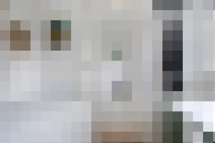 Honthorstlaan 80 Alkmaar thumbnail 16