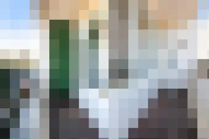 Honthorstlaan 80 Alkmaar thumbnail 19