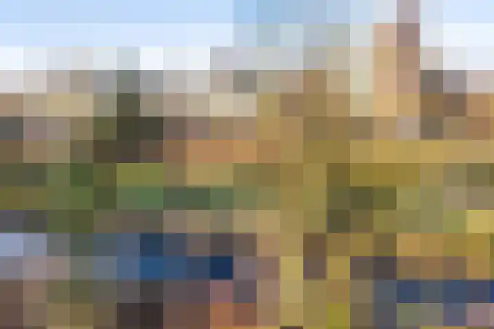 Honthorstlaan 80 Alkmaar thumbnail 21