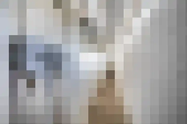 Honthorstlaan 80 Alkmaar thumbnail 23