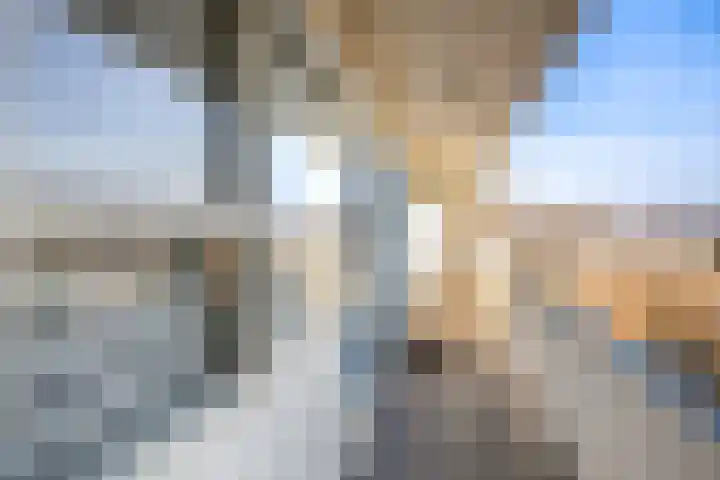 Honthorstlaan 80 Alkmaar thumbnail 4