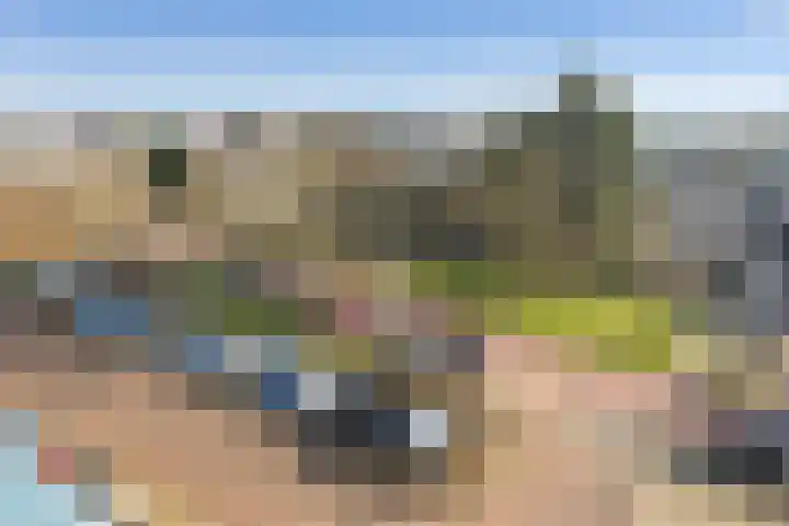 Honthorstlaan 80 Alkmaar thumbnail 6