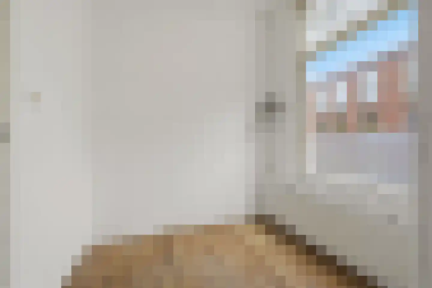 Honthorststraat 135 Den Haag thumbnail 8