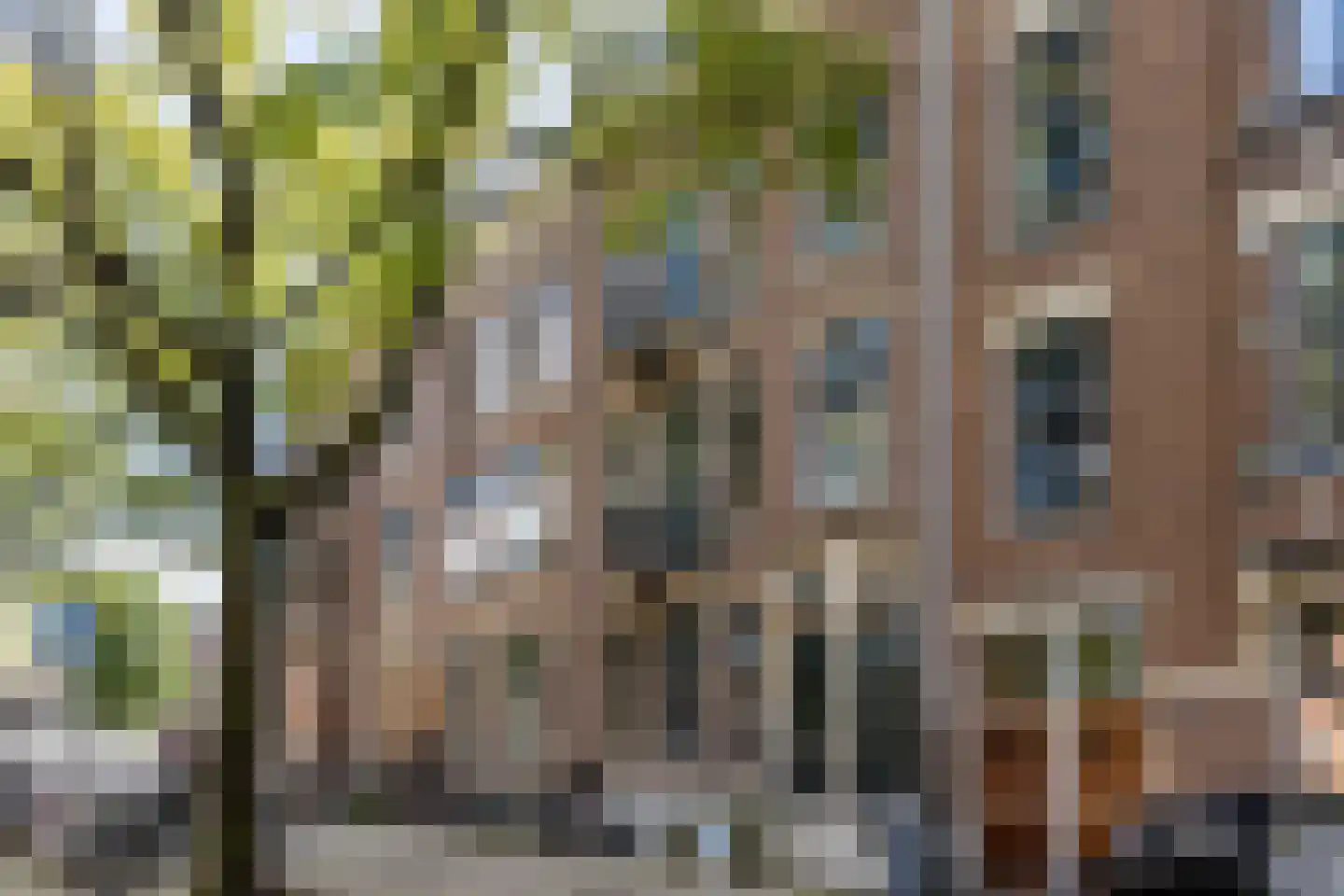 Honthorststraat 50 2 in Amsterdam