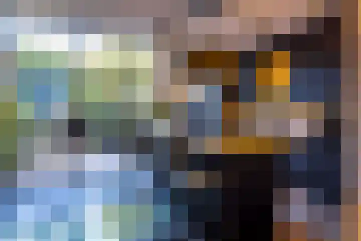 Honthorststraat 50 H Amsterdam thumbnail 10