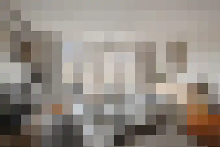 Hoocamp 1 Akersloot thumbnail 10