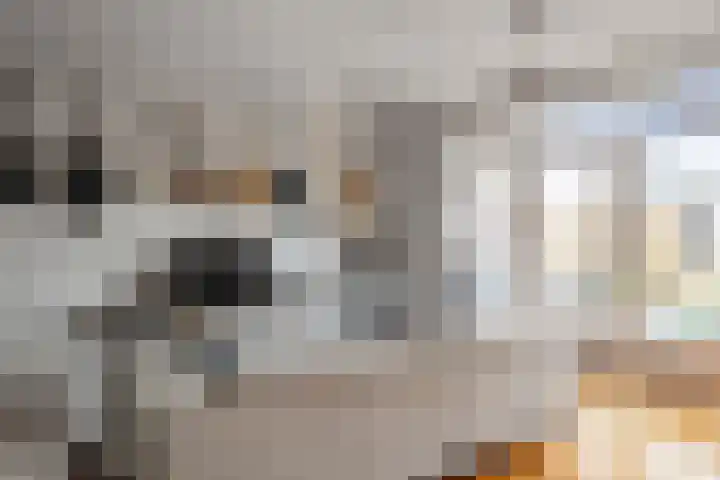 Hoocamp 1 Akersloot thumbnail 11