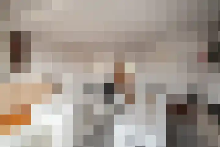 Hoocamp 1 Akersloot thumbnail 12