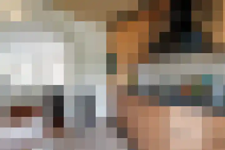 Hoocamp 1 Akersloot thumbnail 16