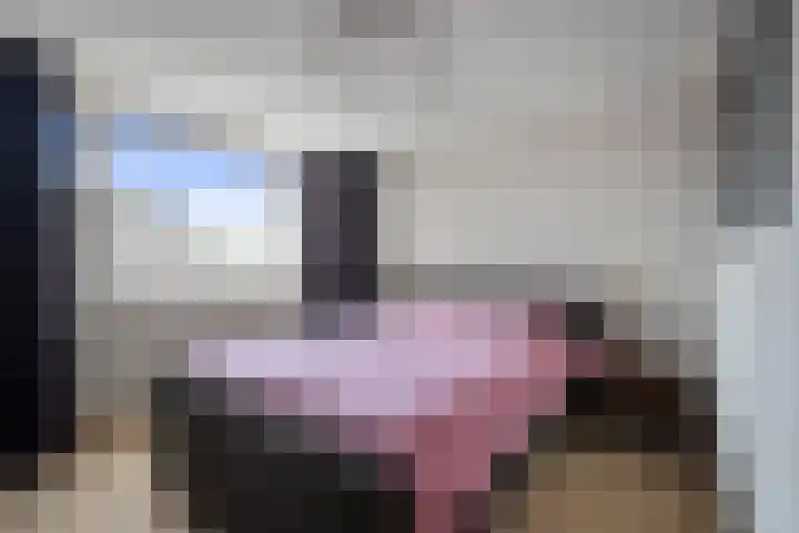 Hoocamp 1 Akersloot thumbnail 17
