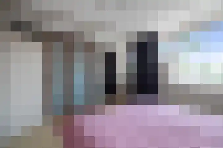 Hoocamp 1 Akersloot thumbnail 18