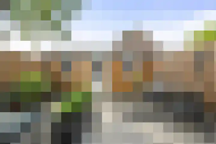 Hoocamp 1 Akersloot thumbnail 30