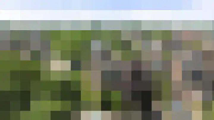 Hoocamp 1 Akersloot thumbnail 32